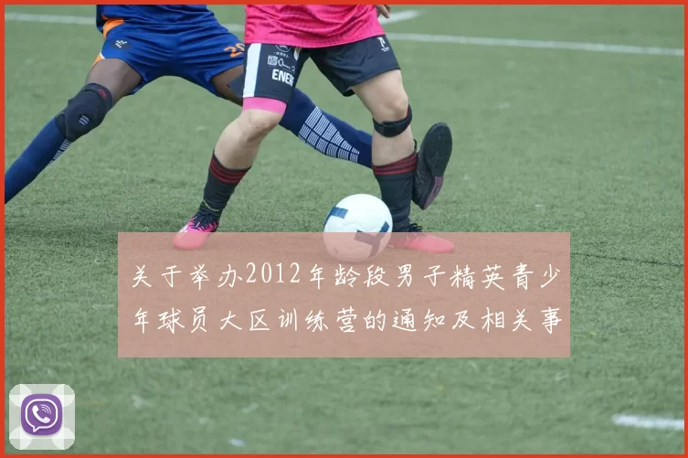 关于举办2012年龄段男子精英青少年球员大区训练营的通知及相关事项说明