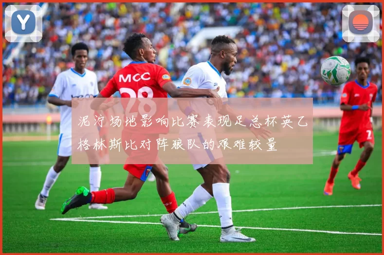 泥泞场地影响比赛表现足总杯英乙格林斯比对阵狼队的艰难较量